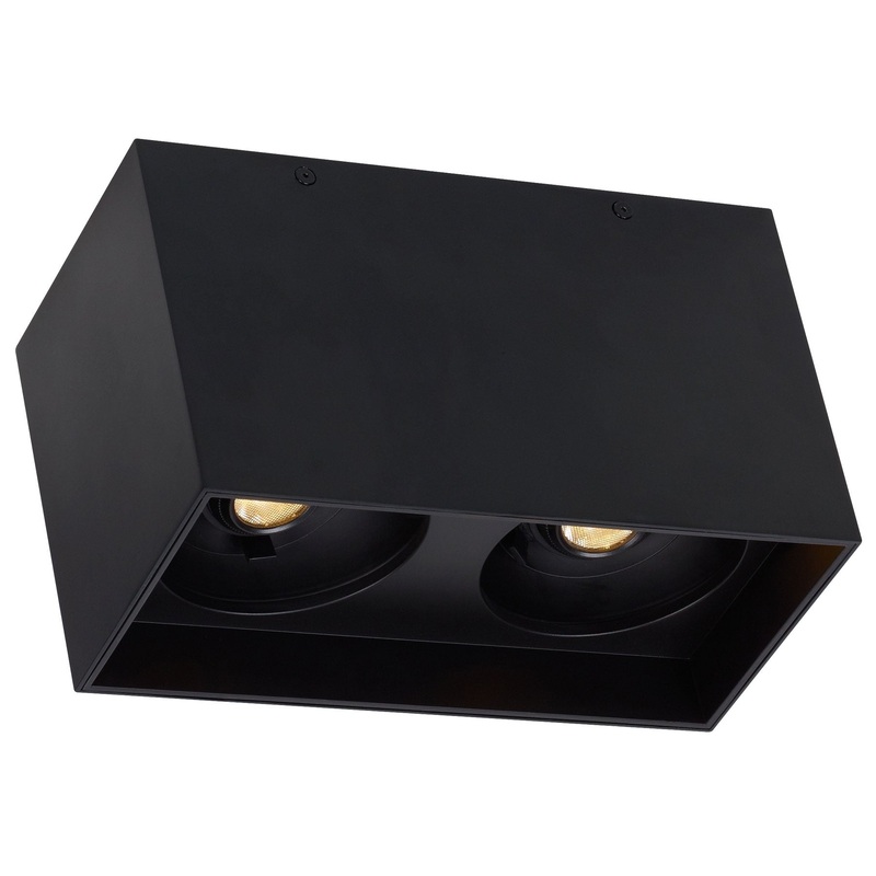 Exo Dual Ceiling Light