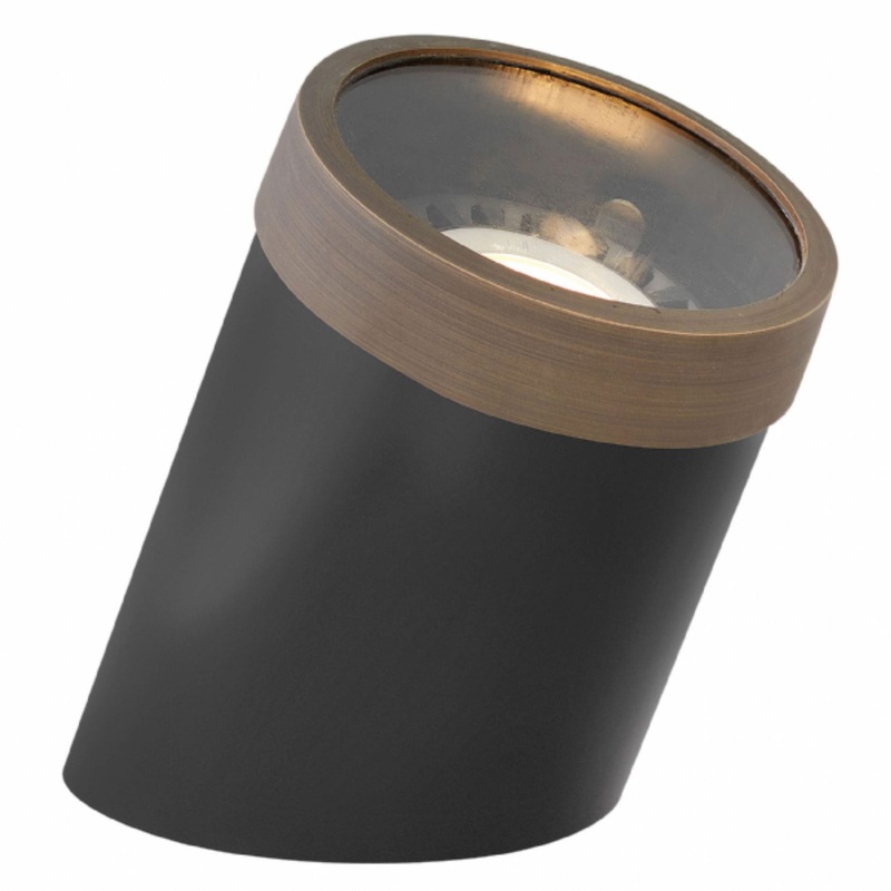 Angled Flat Top PAR36 12V Well Light