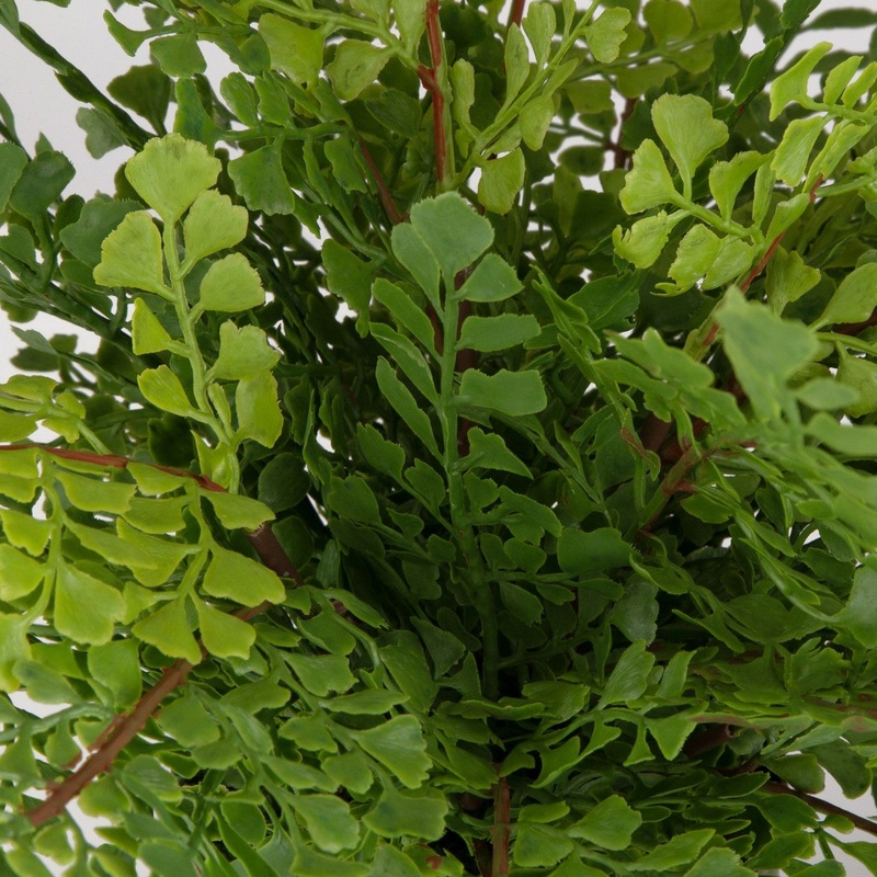Maidenhair Fern Centerpiece