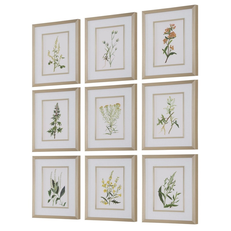 Botanical Flowers Botanical Prints