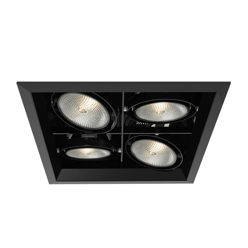 PAR30 2X2 Trim with Remodel Housing