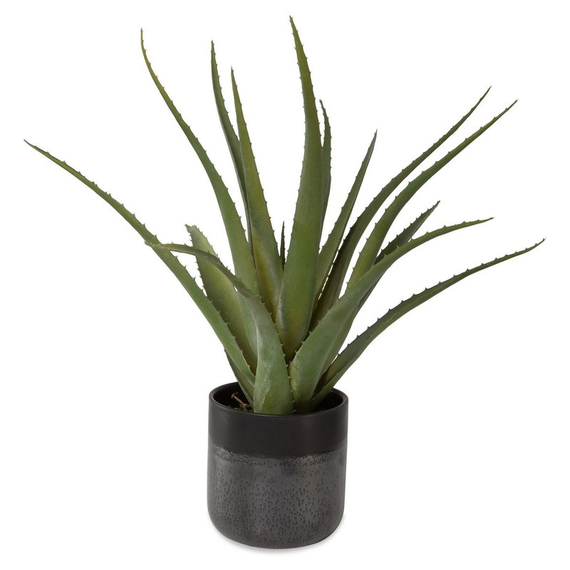 Tucson Centerpiece