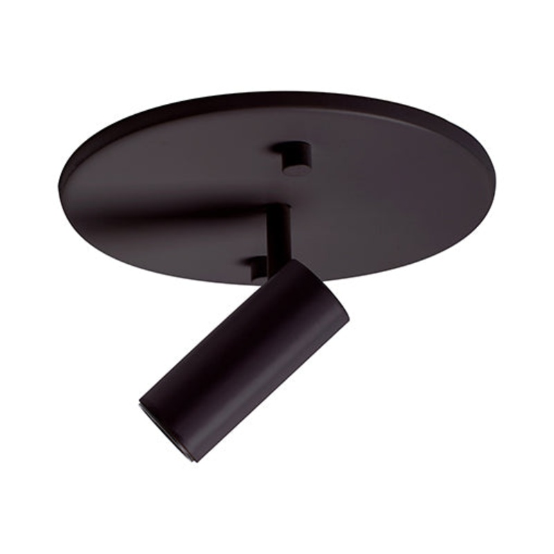 Downey Adjustable Spot Light