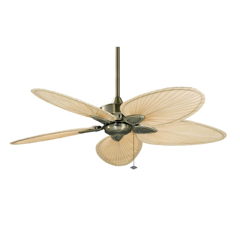 Windpointe Ceiling Fan