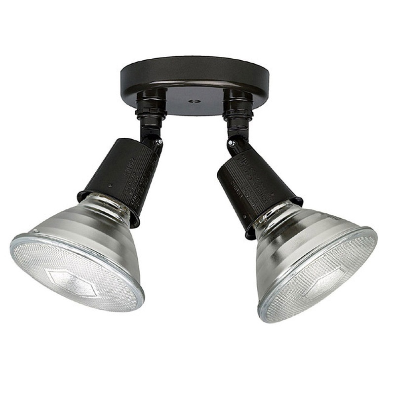 2-Lamp Outdoor Floodlight