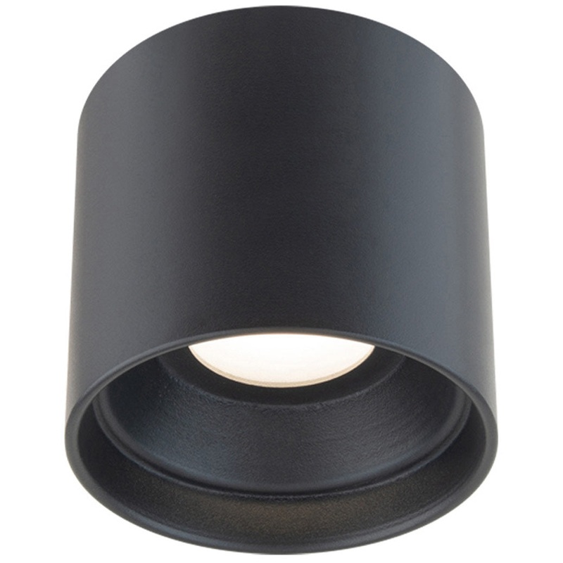 Squat Color Select Outdoor Ceiling Light