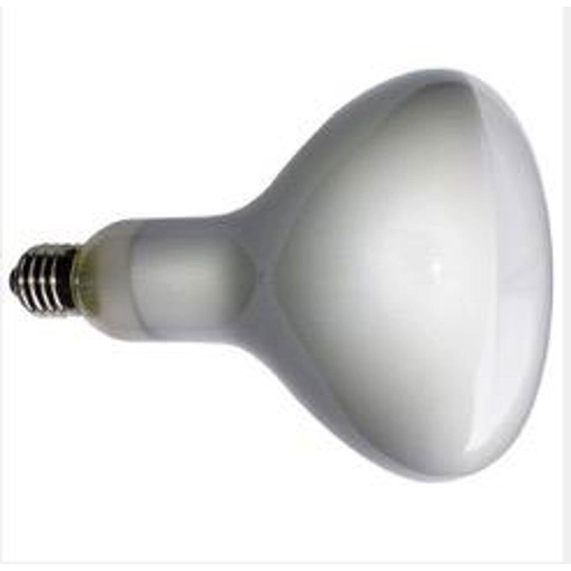 R125 Med Base 8W LED Reflector Flood 120V